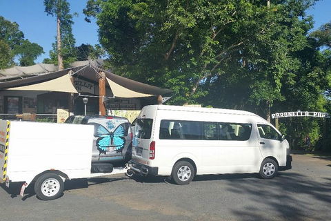 Airport Transfer To Or From Cairns Hotels For Up To 13 People - Accommodation Yamba 4