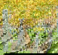 Margaret River Indulge and Discover Day Tour - Accommodation Yamba