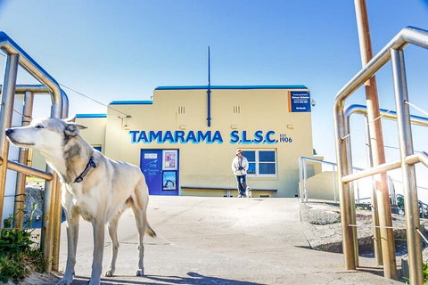 Smartphone & Camera Photography Basics - Accommodation Yamba 5