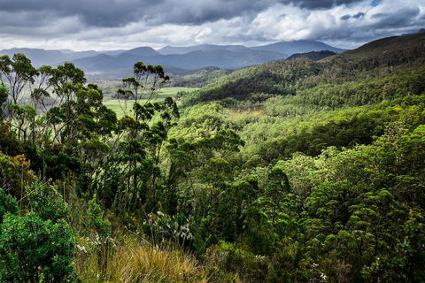 3-Day Tour To The Falls, Mountains, Lake & More Of West Coast Tasmania - Accommodation Yamba 0