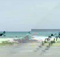 Private Beginners Surf Lessons Noosa World Surf Reserve - Accommodation Yamba