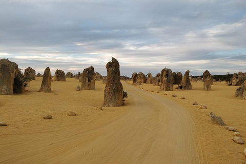 The Pinnacle Adventure Tour - Accommodation Yamba 1