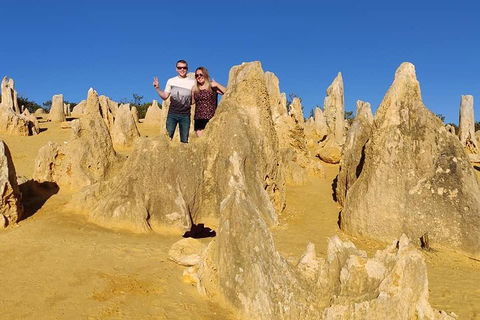 The Pinnacle Adventure Tour - Accommodation Yamba 4