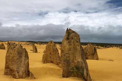 Private Pinnacles Day Tour - Accommodation Yamba 1