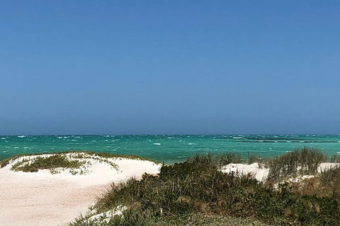 Private Pinnacles Day Tour - Accommodation Yamba 2