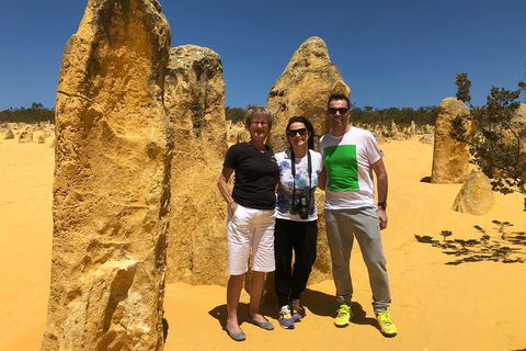 Private Pinnacles Day Tour - Accommodation Yamba 3