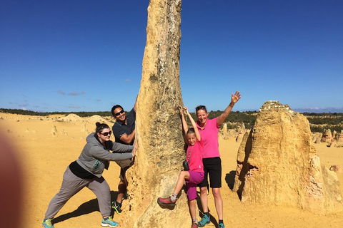 Private Pinnacles Day Tour - Accommodation Yamba 4