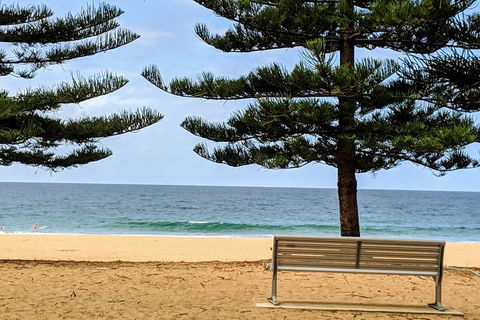 Manly & Sydney's Northern Beaches With 'Personalised Sydney Tours' - Accommodation Yamba 0