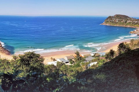 Manly & Sydney's Northern Beaches With 'Personalised Sydney Tours' - Accommodation Yamba 2