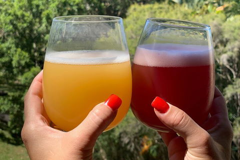 Hipster Sipster Brewery And Distillery Tour - Accommodation Yamba 3