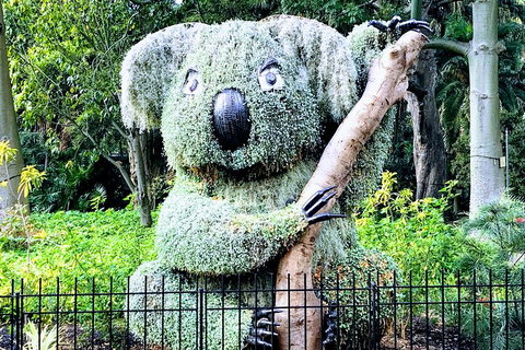 Discover Sydney - Botanic - Accommodation Yamba 1