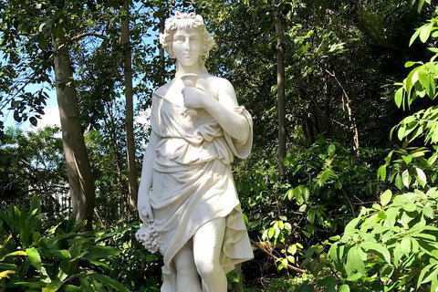 Discover Sydney - Botanic - Accommodation Yamba 2