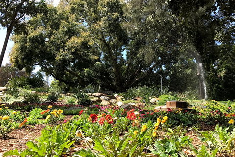 Discover Sydney - Botanic - Accommodation Yamba 3