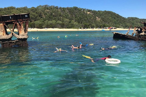 All Inclusive Dolphin And Tangalooma Wrecks Cruise - Accommodation Yamba 0