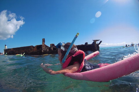 All Inclusive Dolphin And Tangalooma Wrecks Cruise - Accommodation Yamba 2