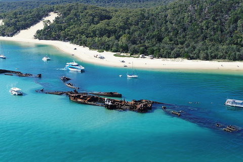 All Inclusive Dolphin And Tangalooma Wrecks Cruise - Accommodation Yamba 4