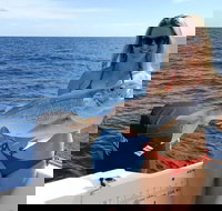 1/2 Day 5 Hour Offshore Fishing Charter - Accommodation Yamba