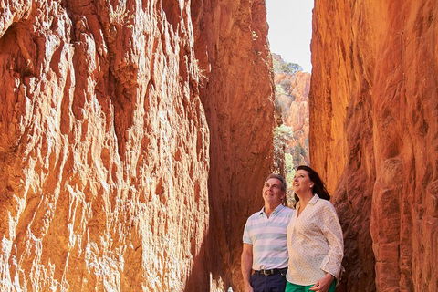 Best Of Alice Springs Full Day Tour - Accommodation Yamba 4