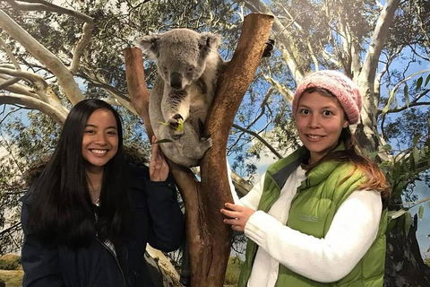 Australia Multi-City Attractions Pass - Accommodation Yamba 3