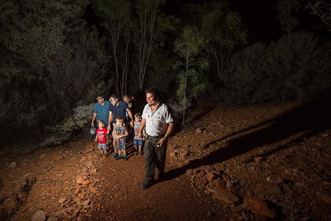 Alice Springs Desert Park Nocturnal Tour - Accommodation Yamba 0