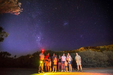 Alice Springs Desert Park Nocturnal Tour - Accommodation Yamba 2