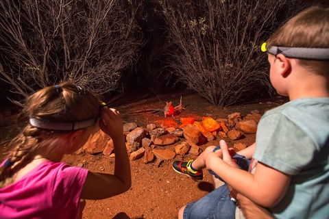 Alice Springs Desert Park Nocturnal Tour - Accommodation Yamba 4