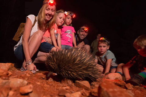 Alice Springs Desert Park Nocturnal Tour - Accommodation Yamba 5