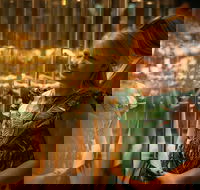 The Perth Mint Guided Heritage Tour and Gold Pour - Accommodation Yamba