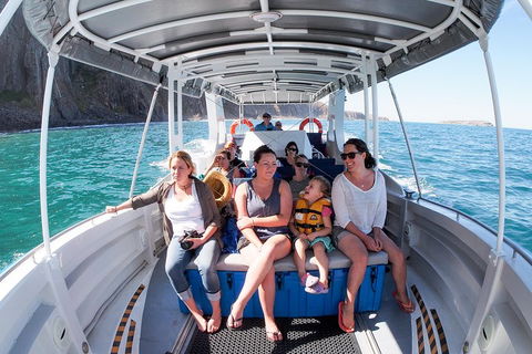 Seal Island Boat Tour From Victor Harbor - Accommodation Yamba 1