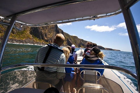 Seal Island Boat Tour From Victor Harbor - Accommodation Yamba 2