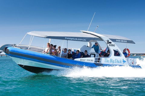 Seal Island Boat Tour From Victor Harbor - Accommodation Yamba 3