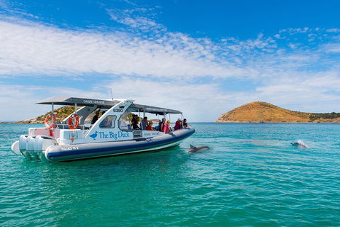 Southern Ocean Adventure From Victor Harbor - Accommodation Yamba 1