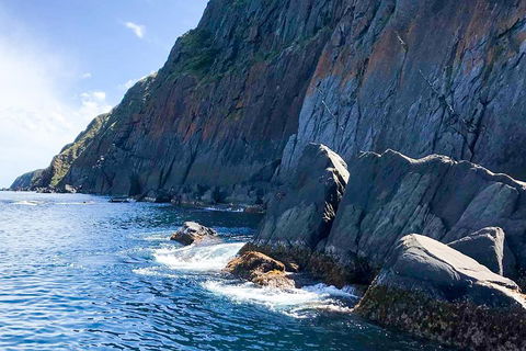 Southern Ocean Adventure From Victor Harbor - Accommodation Yamba 3