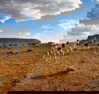 Mount Conner 4WD Small Group Tour from Ayers Rock including Dinner - Accommodation Yamba