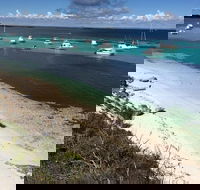 Experience Rottnest with Ferry  Bike Hire from Perth or Fremantle - Accommodation Yamba