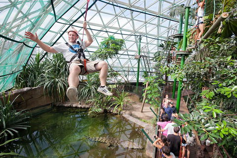 Cairns ZOOM And Wildlife Dome - Accommodation Yamba 4