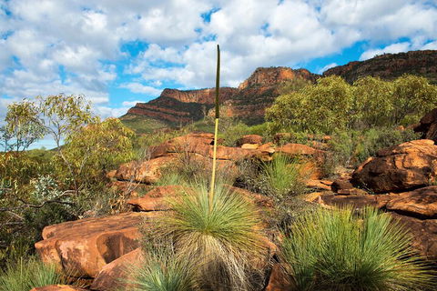 6-Day Eyre Peninsula & Flinders Ranges Adventure Tour - Accommodation Yamba 1
