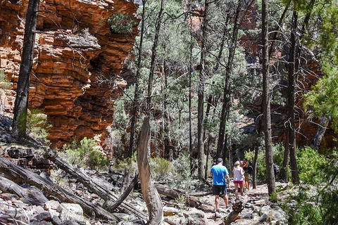 6-Day Eyre Peninsula & Flinders Ranges Adventure Tour - Accommodation Yamba 5