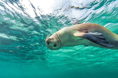 10-Day Adelaide To Perth Adventure Tour - Accommodation Yamba 1