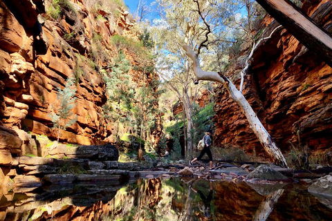 10-Day Adelaide To Perth Adventure Tour - Accommodation Yamba 5