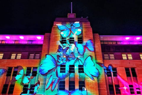 Vivid 90-Minute Sydney Harbour Small Group Catamaran Cruise - Accommodation Yamba 0