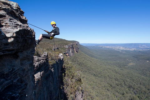 Half-Day Abseiling Adventure In Blue Mountains National Park - Accommodation Yamba 1