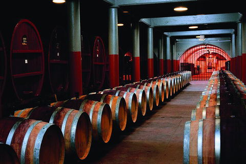 Penfolds Magill Estate Iconic Experience - Accommodation Yamba 4