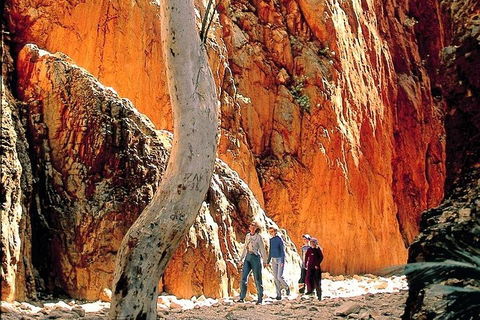 West MacDonnell Ranges Day Trip From Alice Springs - Accommodation Yamba 3