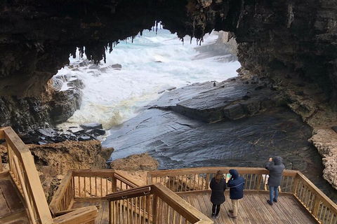 Kangaroo Island 4WD Tour - Best Of KI - Accommodation Yamba 1