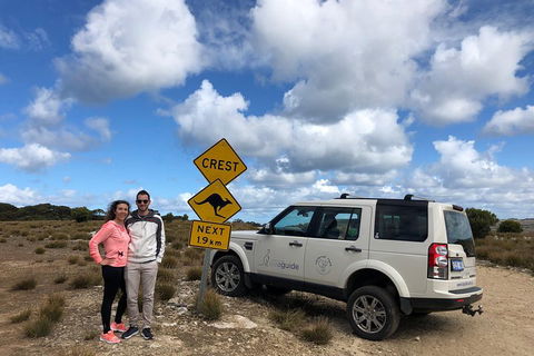 Kangaroo Island 4WD Tour - Best Of KI - Accommodation Yamba 5