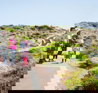 Margaret River Coastal and Wildlife Eco Trip from Busselton or Dunsborough - Accommodation Yamba